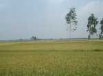 21850DSC08437.JPG
