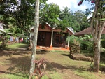 31067CIMG0929.JPG