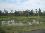 33347IMG_5687.JPG