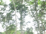48910CIMG5247.JPG