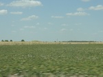 35208DSC02413.JPG