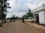 46627CIMG0916.JPG
