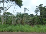 20103P1010954.JPG