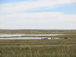 37921CIMG1728.JPG