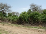 19197P1010043.JPG