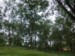 52810CIMG4709_调整大小.JPG