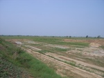 28231RIMG0230.JPG
