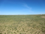 36904CIMG0688.JPG