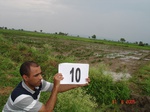 12413010b-irrigated-canal-nagarjunsagar-cotton-chilles-rice.gif