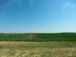 55275CIMG1328.JPG