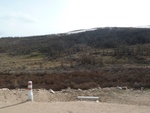 24387P1010880.JPG