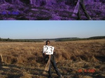 10819gt-023-wetland-perennial-peatland-02.jpg