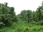 45321CIMG2406.JPG
