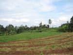 14576IMG_4942.JPG