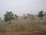 3930RIMG0234.JPG
