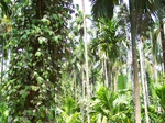 17503100_2758.JPG