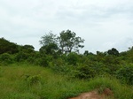18540P1000376.JPG