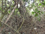 46789DSC02127.JPG