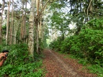 45920CIMG0209.JPG