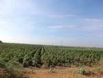 56114CIMG6815.JPG