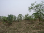 3879RIMG0183.JPG