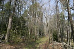 361IMG_3470.JPG
