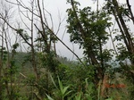 53362CIMG6657.JPG