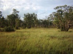 43685pic2.jpg