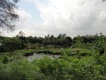 24649DSC00871.JPG