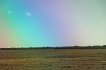 2024-06-17_21-20-49_15B79F43-2DA7-4C47-B3F5-AF1BE0EADE9F.jpeg