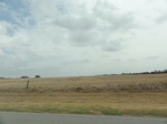 35395DSC02907.JPG