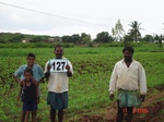 124680127c-irrigated-supplemental-groundwater-maize-dominant-sugarcane-sorghum-banana.gif