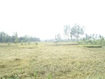 21816DSC08374.JPG
