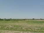 19174P1010020.JPG