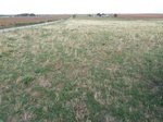 39305WEAT20110815W.JPG