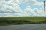 2024-09-24_15-33-48_AD880878-3B25-406C-AE4F-977B397880F1.jpeg