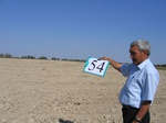 8079054-Irrigated (Surface water) winter wheat-a.jpg