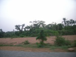 4085RIMG0390.JPG