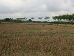 31024CIMG0886.JPG