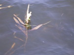 700R0015208.jpg