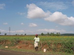 9867gt108a_mosaic_of_crops.gif