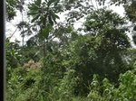 49615CIMG5952.JPG