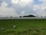 31210CIMG1072.JPG