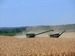 2012-08-30_11-29-30_CIMG4283.JPG