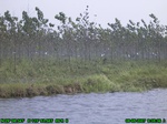 1316R0015107_tag.jpg