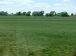 29032CIMG0731.JPG
