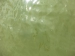 58298CIMG2746.JPG