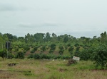 18542P1000378.JPG