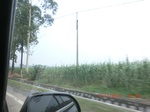 32730CIMG1861.JPG