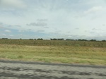 35895DSC02663.JPG